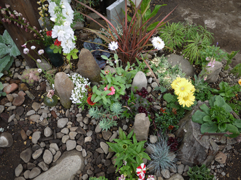 P1010532.JPG