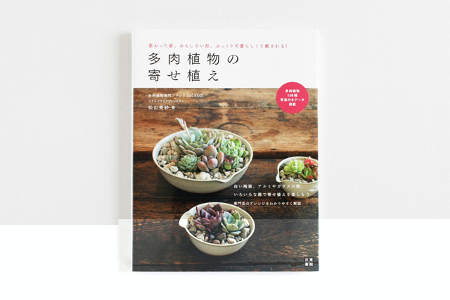 多肉植物の寄せ植え