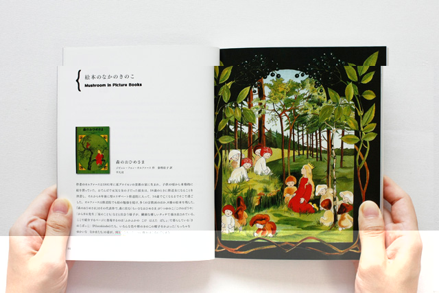 Magical Mysterious Mushroom Tour